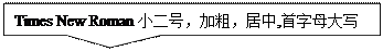 矩形标注: Times New Roman小二号,加粗,居中,首字母大寫
