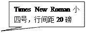 矩形标注: Times New Roman小四号,行間距20磅