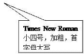 矩形标注: Times New Roman小四号，加粗，首字母大寫