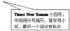 矩形标注: Times New Roman小四号,中間用分号隔開, 首字母小寫,最後一個詞沒有标點